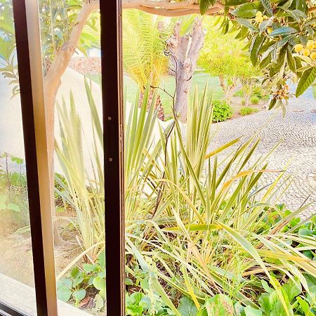 Albufeira Praia Sao Rafael Sun Apartment Eksteriør bilde